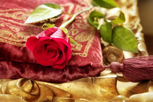 classic red rose on embroidery vintage velvet pillow golden border
