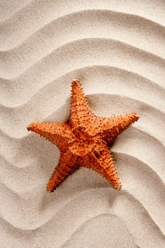 beach white wavy sand with starfish such a summer vacation symbol