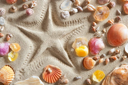 beach with starfish printed in white sand many clam shells as a summer vacation background