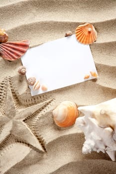copyspace blank paper on white beach sand summer starfishand and shells