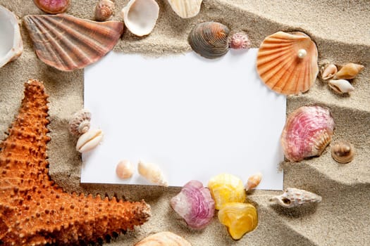 copyspace blank paper on white beach sand summer starfishand and shells