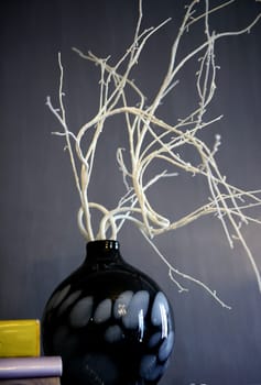 Decoratibe black bottle with dry white branches over a gray textured wall