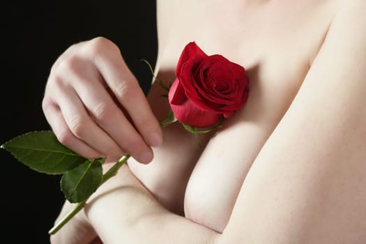 Beautiful woman body holding in hand a red rose