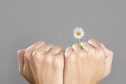 Concept of life with plant growing from woman hands