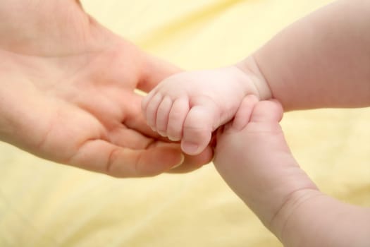 baby feet in mother hands playing together