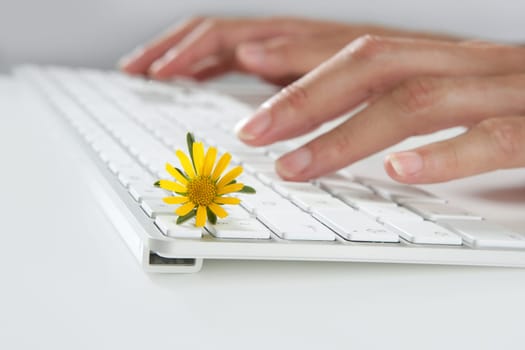 Ecology concept of woman hands typing a keyboard with flowers