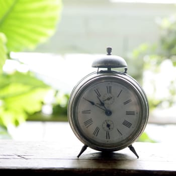 Old alarm bell clock at the window backlit in a house room with plants