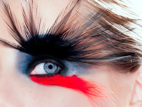 black bird woman eye makeup closeup macro red feather