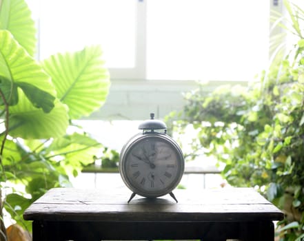 Old alarm bell clock at the window backlit in a house room with plants