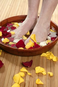 Aromatherapy, flowers woman feet bath, colorful rose petal