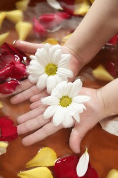 Aromatherapy children hand bath, rose petal, daisy  flower