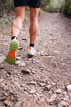 legs of a sports man running in the forest, concept of sport in nature and healthy lifestyle, copy space for text
