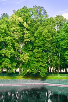 Trees and green lawn with blue sky at the public park. Green city park with trees. High quality photo