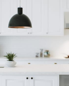 Modern white kitchen countertop with indoor plants and advertising space mounting your product on a blurred kitchen space in the background. 3D rendering.