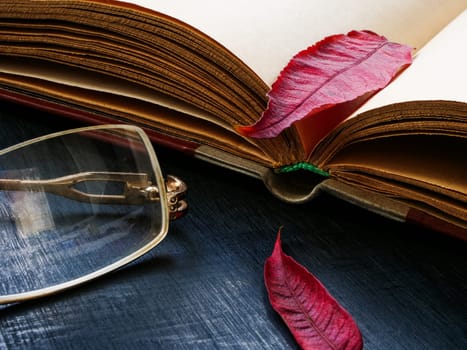 An open book with an autumn leaf as a symbol of calm and relaxation while reading.