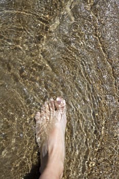 beach tourist feet walking on shore shallow water summer vacation metaphor
