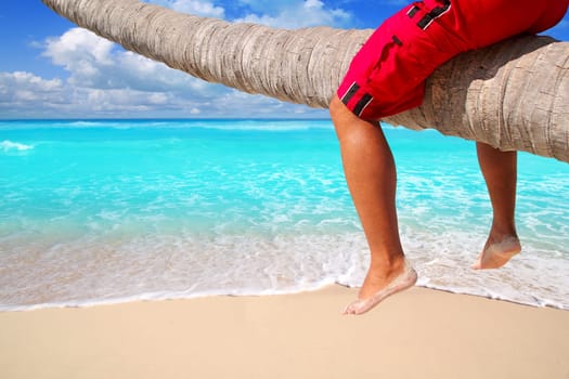 Caribbean inclined palm tree beach trunk sitting tourist legs