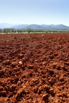 Red clay soil texture on a sunny morning in Spain