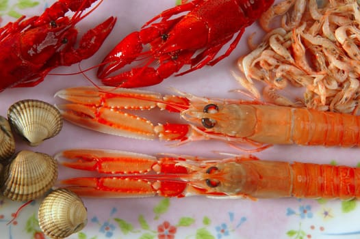 Raw seafood on the plate, nephrops, crabs, clams and shrimps
