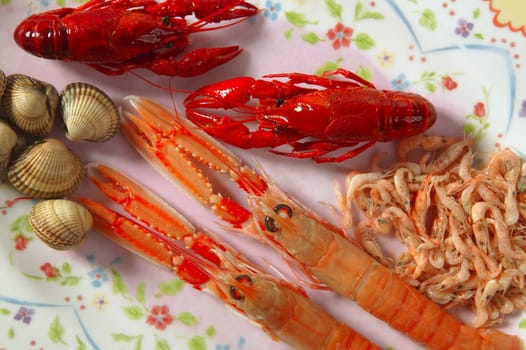 Raw seafood on the plate, nephrops, crabs, clams and shrimps