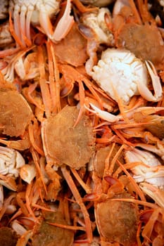 Crab texture, seafood background with many mediterranean crabs