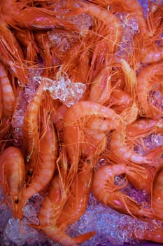 Orange shrimp, prawn, over ice surface, crustacean texture