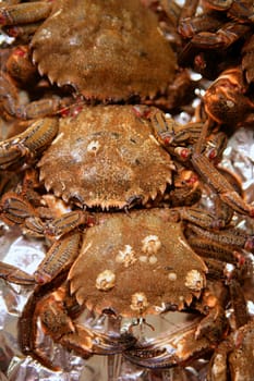 Crab macro close up detail, three crabs in a row