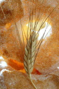 Delicious roll bakery with sugar and wheat ear spikes