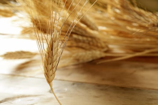 golden wheat cereal over wood background