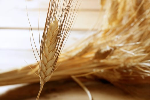 golden wheat cereal over wood background