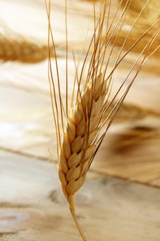 golden wheat cereal over wood background