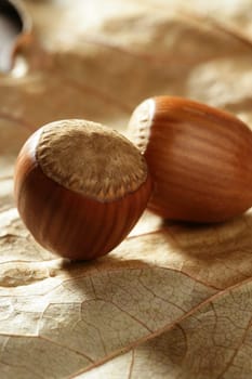 Delicious hazelnuts, macro detail, warm golden light, studio shot