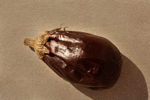 Eggplant rosted isolated on gray background with shadow