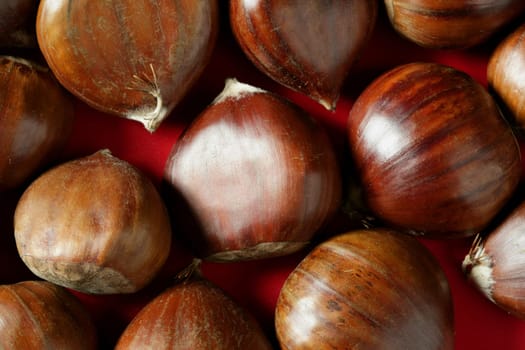 Chestnuts macro texture over red studio background