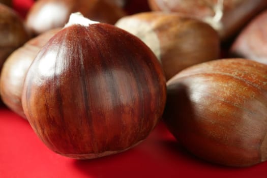 Chestnuts macro texture over red studio background