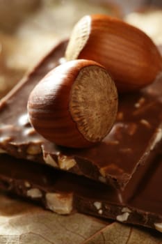Hazelnuts and chocolate at studio. Golden brown winter image