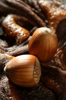 Hazelnuts and chocolate at studio. Golden brown image
