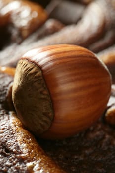 Hazelnuts and chocolate at studio. Golden brown winter image