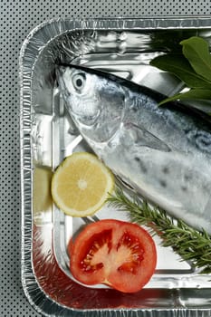 Euthynnus alletteratus, called false albacore from Mediterranean sea
