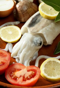 Cuttlefish uncooked, Squid Mediterranean seafood at studio