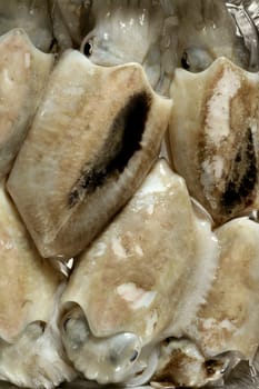 Cuttlefish uncooked, Squid Mediterranean seafood at studio