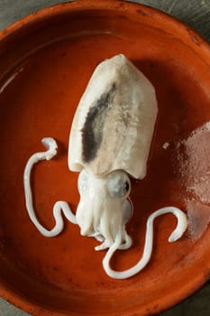 Cuttlefish uncooked, Squid Mediterranean seafood at studio