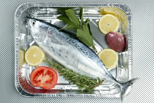Euthynnus alletteratus, called false albacore from Mediterranean sea