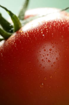 Red wet tomato macro over green background at studio