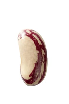 Dried beans macro at studio white background