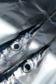 Two little needle fish, uncooked macro studio shot