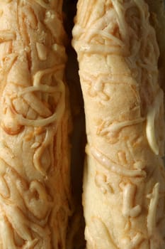 Cheese bread macro texture. Bakery close up background