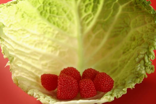 Candy sweets in a shell shape cabbage green leaf