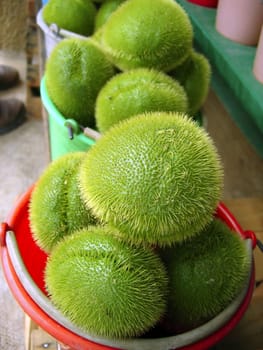 mango squash chayote hair vegetable pear merliton hairy