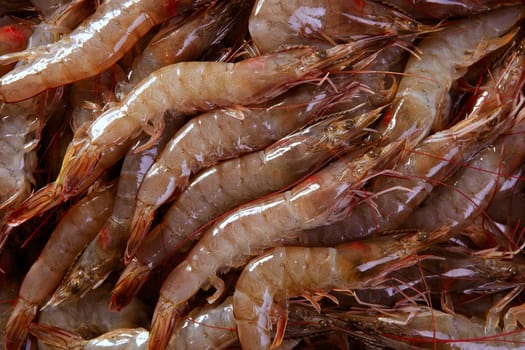penaeus vannamei prawns shrimps pattern texture background